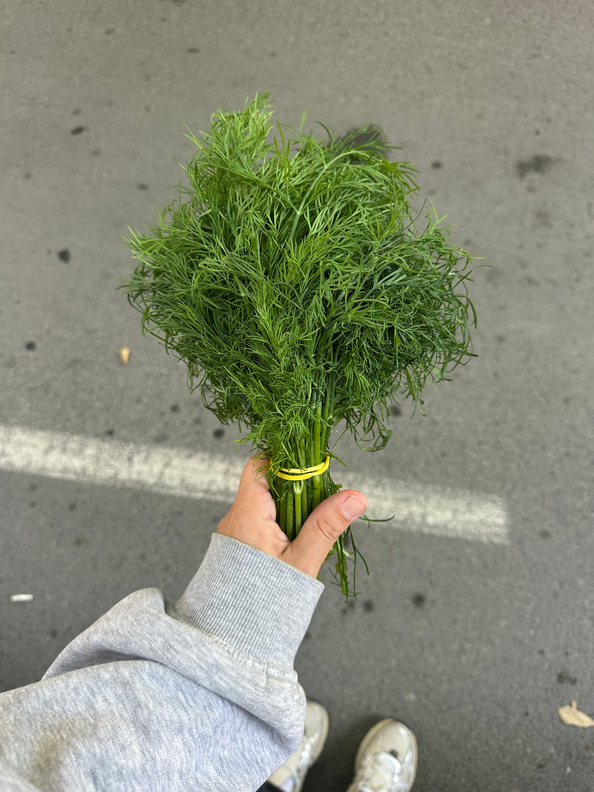 Копър - връзка